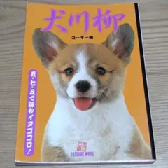 最終値下げ☆犬川柳 五・七・五で詠むイヌゴコロ! コーギー編