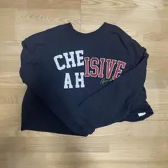 新品未使用タグ無しLOWRYSFARM ロゴリメイクウラケプルオーバー