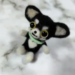 2026年最新】羊毛フェルト チワワの人気アイテム - メルカリ