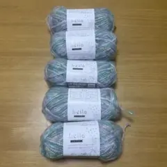 キャンドゥ毛糸　レイラ　Col No.3 5個セット