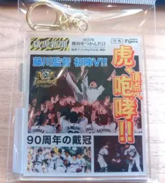 阪神 タイガース 優勝記念【新品】 胴上げ 新聞風　号外 アクキー