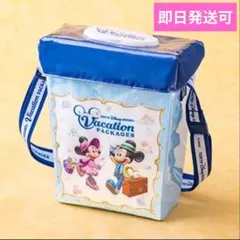 東京ディズニーリゾート　バケーションパッケージ、ポップコーンバケットのサムネイル