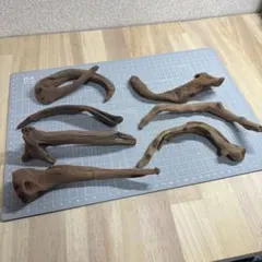 水槽用流木 7個セット M239