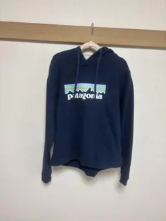 patagonia パーカー レディース