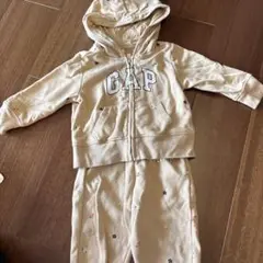 GAP セットアップ