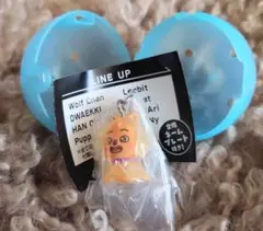 StrayKids スキズ SKZOO めじるしアクセサリー ハンクォッカ