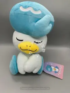 正規品 ポケモンセンター クワッス ぬいぐるみ