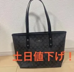 COACH F73293 シグネチャー 2WAY ショルダーバッグ ハンドバッグ
