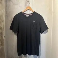 LACOSTE グレー　Tシャツ　M 古着