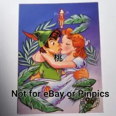 ディズニー ピーターパン ウェンディ 限定 トレーディングカード トレカ アート