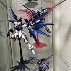 最終値下げGM ストライクフリーダム フリーダムver2.0 プロヴィデンス