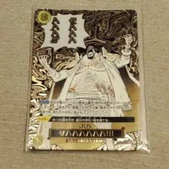2026年最新】ゼハハハハハハ!!! OP16-116 R パラレルの人気アイテム