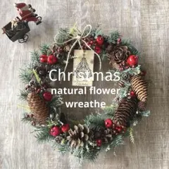 ＊クリスマスリースno.22＊natural wreathe＊冬リース＊