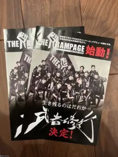 レア　THE RAMPAGE ランペ　武者修行フライヤー　2枚セット