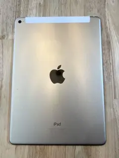 iPad Air 2 A1567 容量不明 セルラーモデル 動作良好 初期化済み