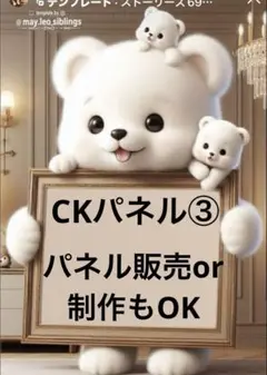 ＣＫパネル販売③