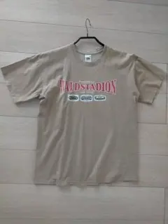 FRUIT of the LOOM ヴィンテージTシャツ M