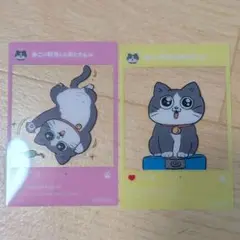 ねこに転生したおじさん　非売品　ナムコ　SNS風アクリルカード　２枚セット