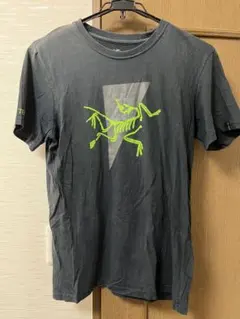 Item thumbnail for item 1a4c47cc-b0ee-493f-86cc-15b7d3aca99d