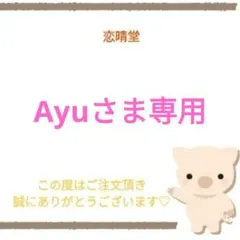 Ayuさま専用