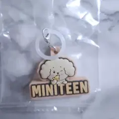 【ドギョム】MINITEEN ミニティーン ぷっくり めじるしアクセサリー