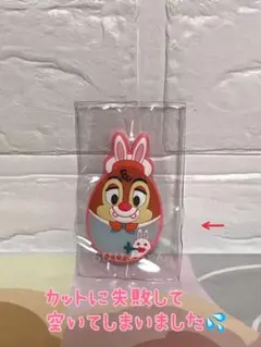 香港ディズニーランド♥イースター デール マグネット♥