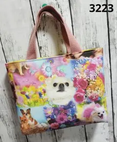 Item thumbnail for item bd594c5f-afae-43e1-814c-d91ba302b564