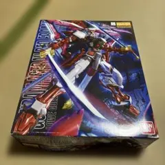箱痛 MGシリーズMG ガンダムアストレイ レッドフレーム改