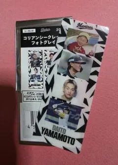 千葉ロッテマリーンズ 山本大斗　コリアン シークレット フォトグレイ