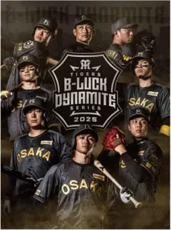 新品 阪神 岩崎 優 B-LUCK DYNAMITE レプリカユニフォーム M 阪神タイガース B-LUCK DYNAMITE レプリカユニ 岩崎優選手M