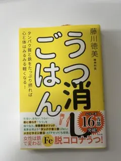 うつ消しごはん 藤川徳美
