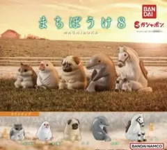 まちぼうけ8 パグ ガチャガチャ