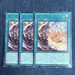 遊戯王 烙印の気炎 3枚セット