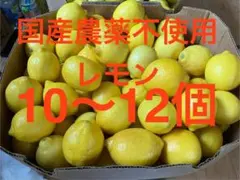 6.国産　農薬不使用瀬戸内レモン　　10〜12個のサムネイル