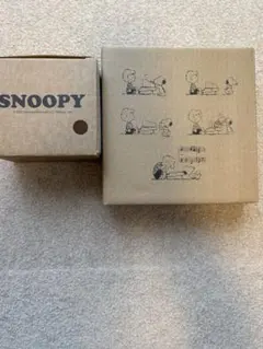 スヌーピー 大きなカフェカップ、マルチプレート、耐熱ガラス保存容器　おまけ付き