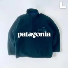 Patagonia 1995年 シンチラスナップT ジャマイカ製 L