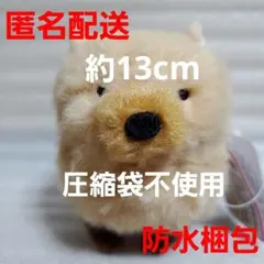 たぬぽんぽん LMC ヤブ郎