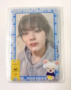 straykids スキズ サウナ フォトカードスリーブセット アイエン