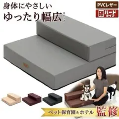 Item thumbnail for item 713efcc2-c184-406b-be76-79cb7ce2d92a