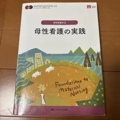 母性看護学② 母性看護の実践　第二版
