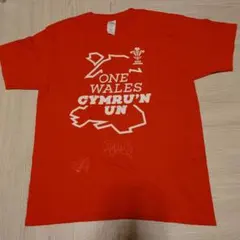 2026年最新】ウェールズラグビーの人気アイテム - メルカリ