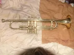 Item thumbnail for item 2e8fa6c9-3ba9-4b2d-ba1c-73a389bc1416