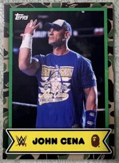 Item thumbnail for item 044c72b5-0041-4996-8474-d7f3d738d15a