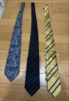 ネクタイ　3枚セット　スーツカンパニー　ヴァレンティノ　ビザルノのサムネイル