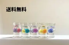 固まるハーバリウムミニ 5つで￥510