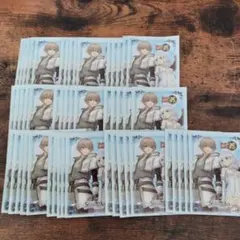 ヴィクトリースパーク　シャイニング　アーク　スリーブ　50枚