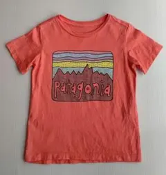 Patagonia 半袖 Tシャツ 3T