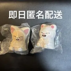 SKZOOガチャライトマスコットフォクシニー ジニレット