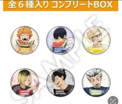 2026年最新】ハイキュー!! セブンネット限定 スクエア缶バッジの人気