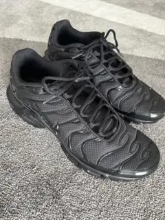 NIKE Air Max Plus “Triple Black” ナイキ